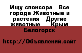 Ищу спонсора - Все города Животные и растения » Другие животные   . Крым,Белогорск